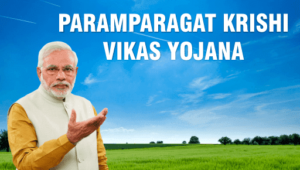 Paramparagat Krishi Vikas Yojana , paramparagat krishi vikas yojana apply online , परंपरागत कृषि विकास योजना , pkvy scheme