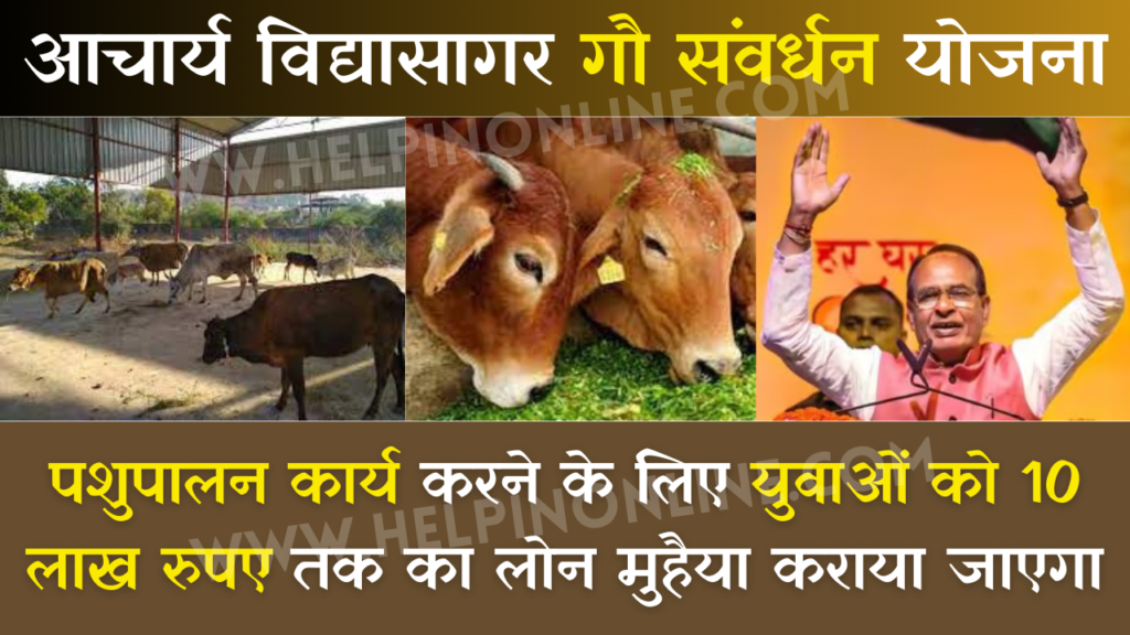 Acharya Vidyasagar Gau Samvardhan Yojana , आचार्य विद्यासागर गौ संवर्धन योजना , acharya vidyasagar yojana form pdf , acharya vidyasagar yojana
